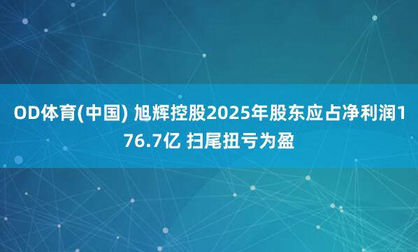 OD体育(中国) 旭辉控股2025年股东应占净利润176.7亿 扫尾扭亏为盈