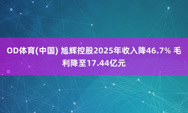 OD体育(中国) 旭辉控股2025年收入降46.7% 毛利降至17.44亿元