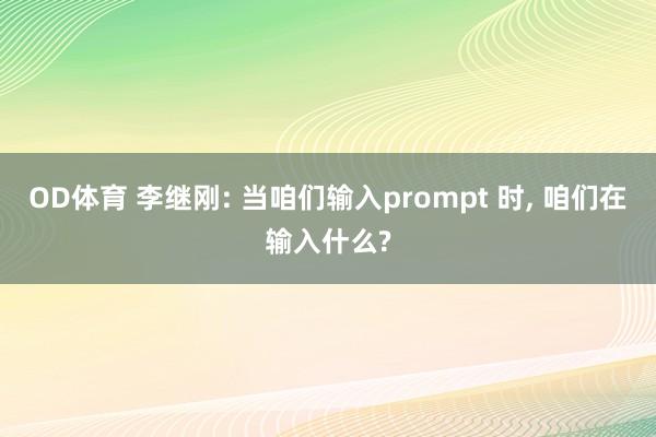 OD体育 李继刚: 当咱们输入prompt 时， 咱们在输入什么?
