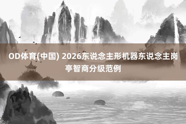 OD体育(中国) 2026东说念主形机器东说念主岗亭智商分级范例
