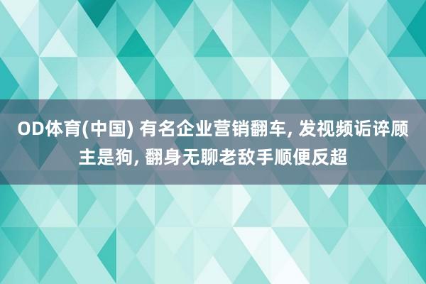 OD体育(中国) 有名企业营销翻车， 发视频诟谇顾主是狗， 翻身无聊老敌手顺便反超
