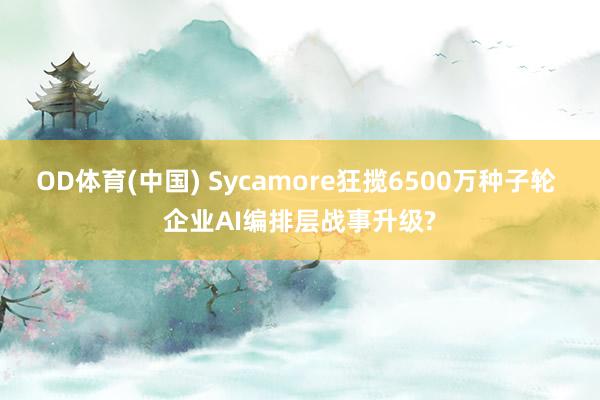 OD体育(中国) Sycamore狂揽6500万种子轮 企业AI编排层战事升级?