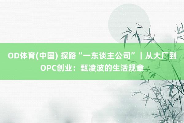 OD体育(中国) 探路“一东谈主公司”｜从大厂到OPC创业：甄凌波的生活规章
