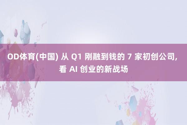 OD体育(中国) 从 Q1 刚融到钱的 7 家初创公司， 看 AI 创业的新战场