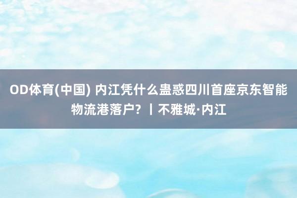 OD体育(中国) 内江凭什么蛊惑四川首座京东智能物流港落户? 丨不雅城·内江