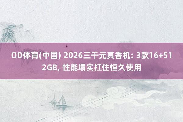 OD体育(中国) 2026三千元真香机: 3款16+512GB， 性能塌实扛住恒久使用