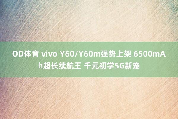 OD体育 vivo Y60/Y60m强势上架 6500mAh超长续航王 千元初学5G新宠