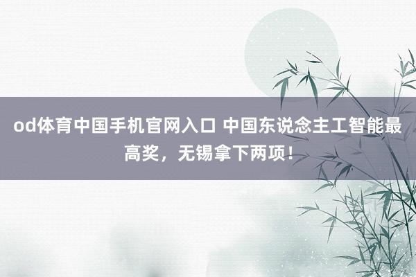 od体育中国手机官网入口 中国东说念主工智能最高奖，无锡拿下两项！