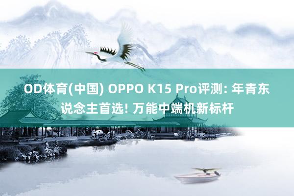 OD体育(中国) OPPO K15 Pro评测: 年青东说念主首选! 万能中端机新标杆