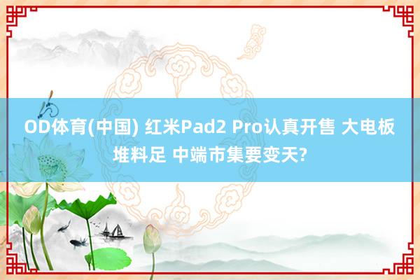 OD体育(中国) 红米Pad2 Pro认真开售 大电板堆料足 中端市集要变天?