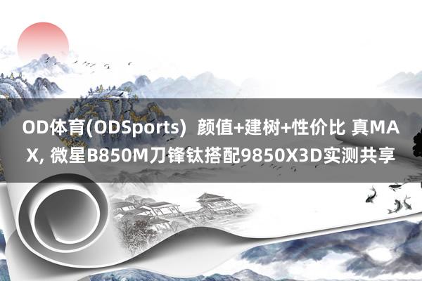 OD体育(ODSports)  颜值+建树+性价比 真MAX， 微星B850M刀锋钛搭配9850X3D实测共享