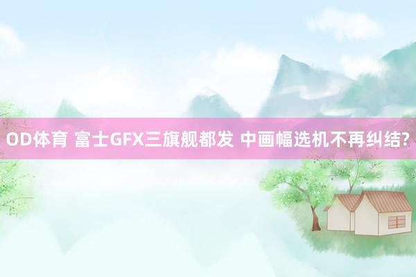 OD体育 富士GFX三旗舰都发 中画幅选机不再纠结?