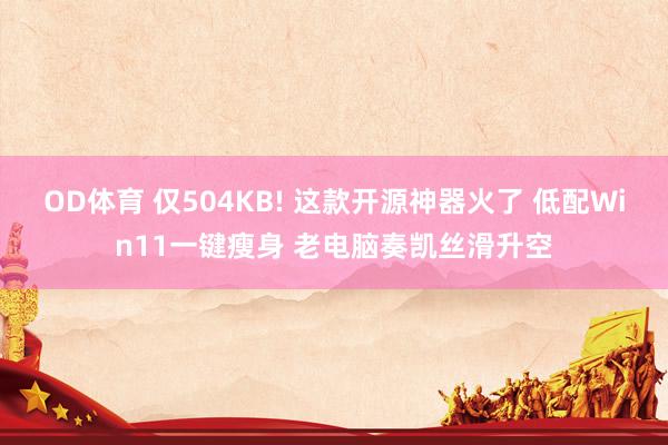 OD体育 仅504KB! 这款开源神器火了 低配Win11一键瘦身 老电脑奏凯丝滑升空
