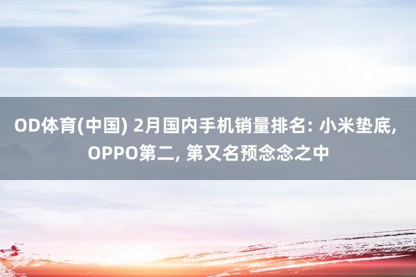 OD体育(中国) 2月国内手机销量排名: 小米垫底， OPPO第二， 第又名预念念之中