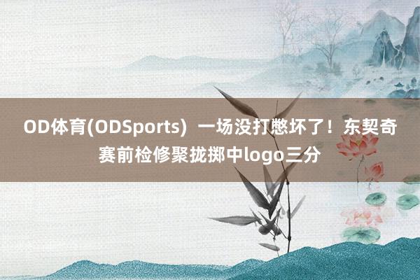 OD体育(ODSports)  一场没打憋坏了！东契奇赛前检修聚拢掷中logo三分