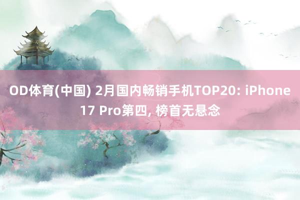 OD体育(中国) 2月国内畅销手机TOP20: iPhone17 Pro第四， 榜首无悬念
