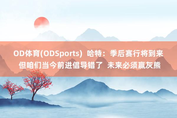 OD体育(ODSports)  哈特：季后赛行将到来 但咱们当今前进倡导错了  未来必须赢灰熊