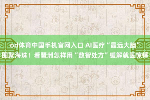 od体育中国手机官网入口 AI医疗“最远大脑”围聚海珠！看琶洲怎样用“数智处方”缓解就医惊悸