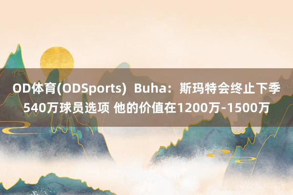 OD体育(ODSports)  Buha：斯玛特会终止下季540万球员选项 他的价值在1200万-1500万
