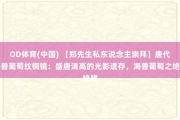 OD体育(中国) 【郑先生私东说念主崇拜】唐代海兽葡萄纹铜镜：盛唐清高的光影遗存，海兽葡萄之绝唱