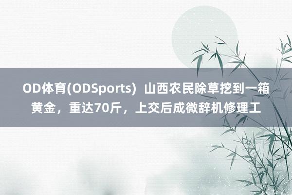 OD体育(ODSports)  山西农民除草挖到一箱黄金，重达70斤，上交后成微辞机修理工