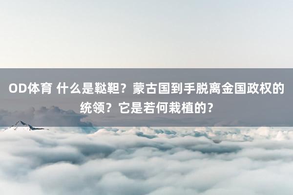 OD体育 什么是鞑靼？蒙古国到手脱离金国政权的统领？它是若何栽植的？