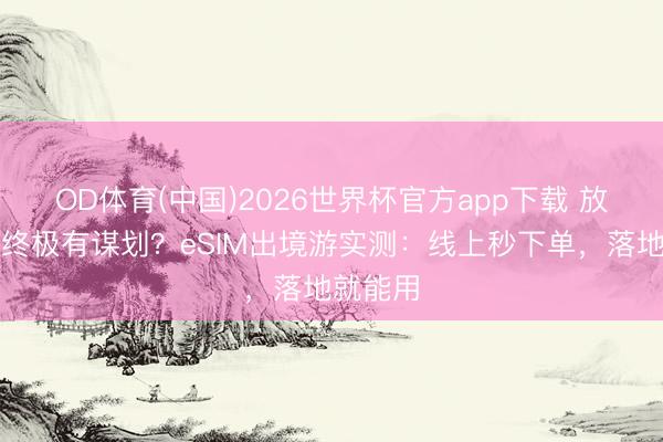 OD体育(中国)2026世界杯官方app下载 放洋上网终极有谋划？eSIM出境游实测：线上秒下单，落地就能用