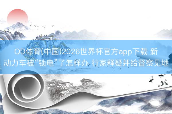 OD体育(中国)2026世界杯官方app下载 新动力车被“锁电”了怎样办 行家释疑并给督察见地