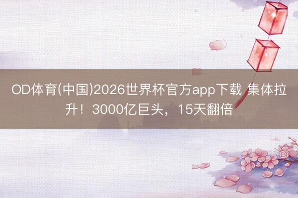 OD体育(中国)2026世界杯官方app下载 集体拉升！3000亿巨头，15天翻倍