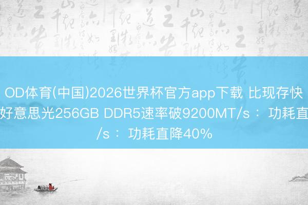 OD体育(中国)2026世界杯官方app下载 比现存快40%！好意思光256GB DDR5速率破9200MT/s ：功耗直降40%