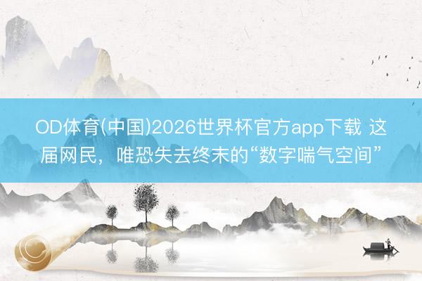 OD体育(中国)2026世界杯官方app下载 这届网民，唯恐失去终末的“数字喘气空间”