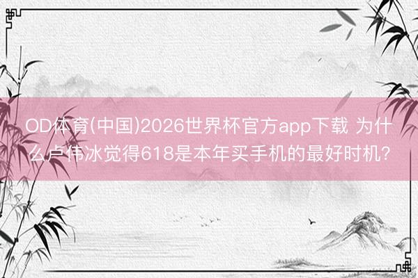 OD体育(中国)2026世界杯官方app下载 为什么卢伟冰觉得618是本年买手机的最好时机？