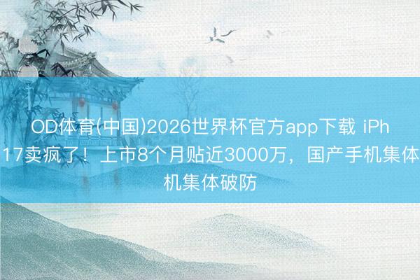 OD体育(中国)2026世界杯官方app下载 iPhone 17卖疯了！上市8个月贴近3000万，国产手机集体破防