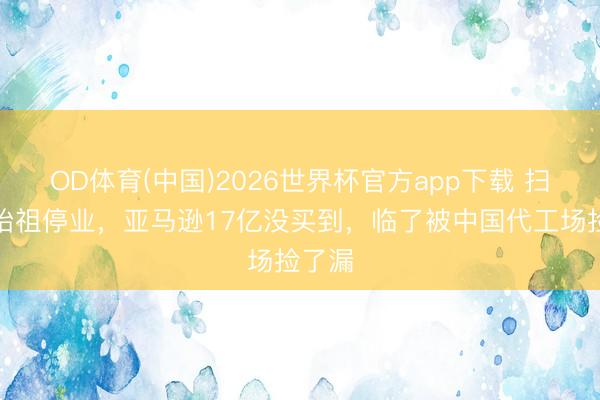 OD体育(中国)2026世界杯官方app下载 扫地机始祖停业，亚马逊17亿没买到，临了被中国代工场捡了漏