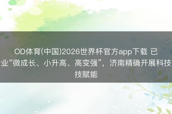 OD体育(中国)2026世界杯官方app下载 已毕企业“微成长、小升高、高变强”，济南精确开展科技赋能