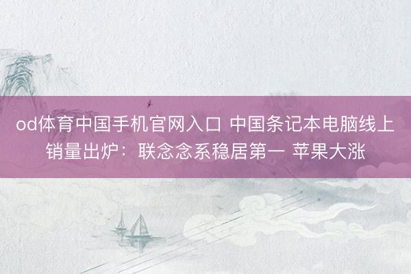 od体育中国手机官网入口 中国条记本电脑线上销量出炉：联念念系稳居第一 苹果大涨