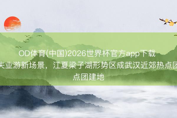 OD体育(中国)2026世界杯官方app下载 解锁失业游新场景，江夏梁子湖形势区成武汉近郊热点团建地