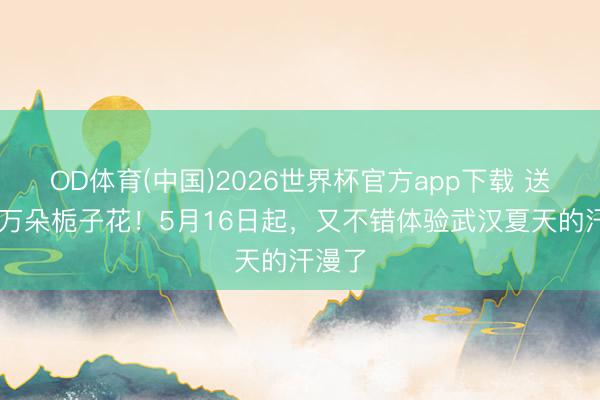 OD体育(中国)2026世界杯官方app下载 送你10万朵栀子花！5月16日起，又不错体验武汉夏天的汗漫了