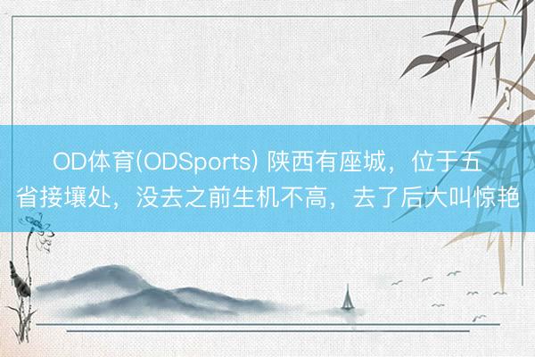OD体育(ODSports) 陕西有座城，位于五省接壤处，没去之前生机不高，去了后大叫惊艳
