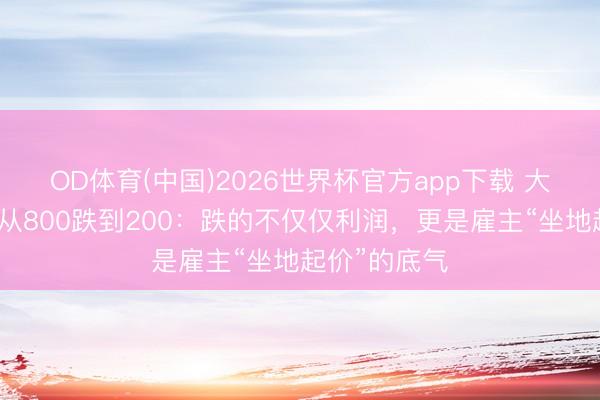 OD体育(中国)2026世界杯官方app下载 大理民宿房价从800跌到200：跌的不仅仅利润，更是雇主“坐地起价”的底气