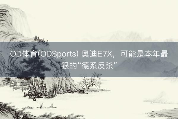 OD体育(ODSports) 奥迪E7X，可能是本年最狠的“德系反杀”