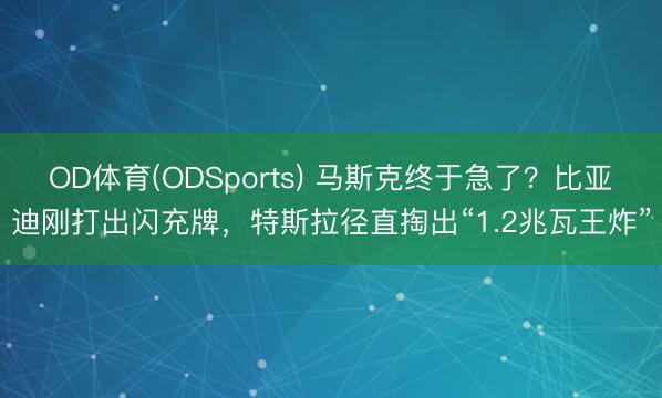 OD体育(ODSports) 马斯克终于急了？比亚迪刚打出闪充牌，特斯拉径直掏出“1.2兆瓦王炸”
