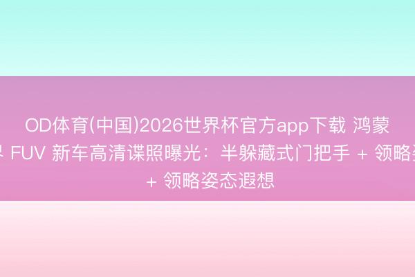OD体育(中国)2026世界杯官方app下载 鸿蒙智行智界 FUV 新车高清谍照曝光：半躲藏式门把手 + 领略姿态遐想