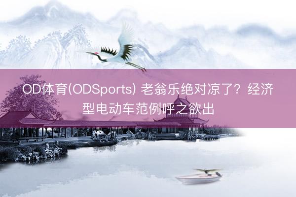 OD体育(ODSports) 老翁乐绝对凉了？经济型电动车范例呼之欲出