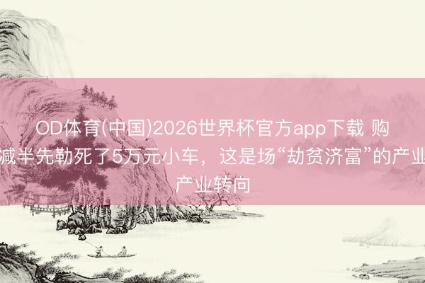 OD体育(中国)2026世界杯官方app下载 购置税减半先勒死了5万元小车，这是场“劫贫济富”的产业转向