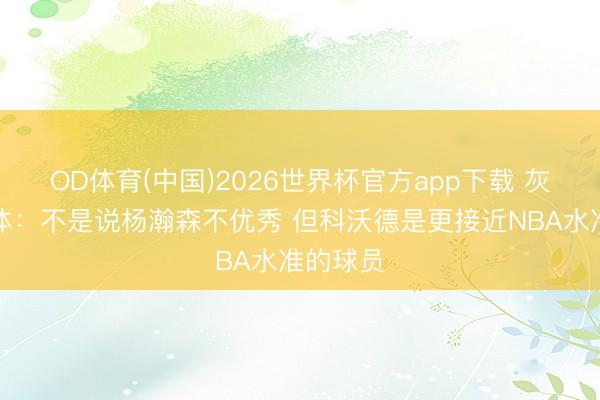 OD体育(中国)2026世界杯官方app下载 灰熊自媒体：不是说杨瀚森不优秀 但科沃德是更接近NBA水准的球员