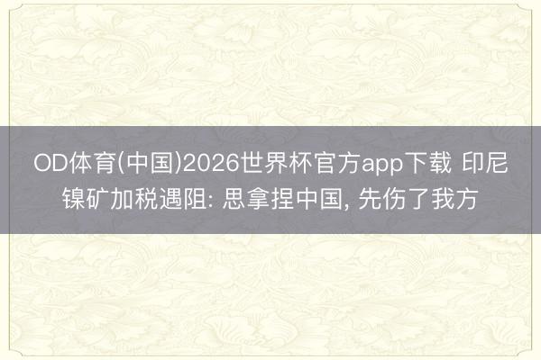 OD体育(中国)2026世界杯官方app下载 印尼镍矿加税遇阻: 思拿捏中国， 先伤了我方