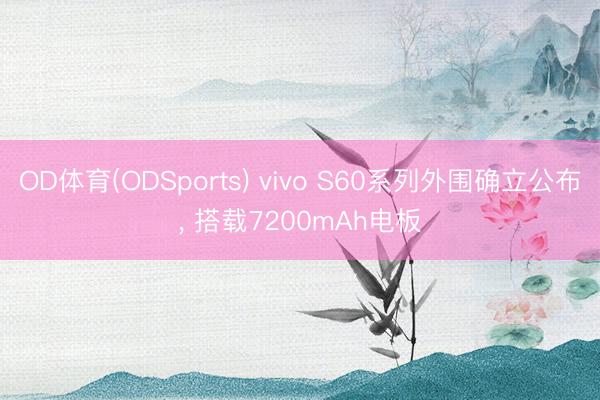 OD体育(ODSports) vivo S60系列外围确立公