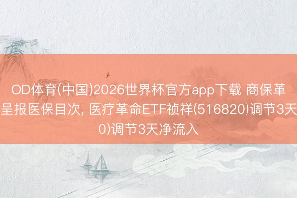 OD体育(中国)2026世界杯官方app下载 商保革命药可呈报医保目次， 医疗革命ETF祯祥(516820)调节3天净流入