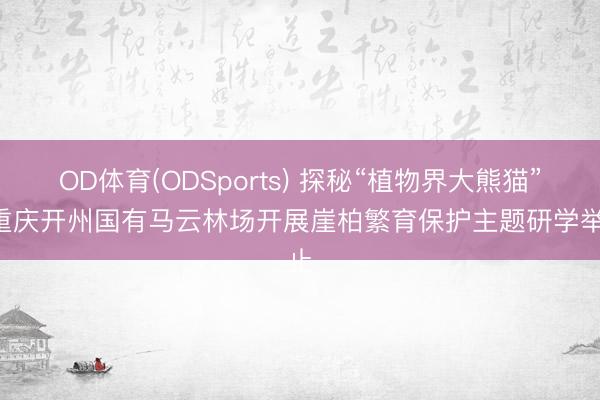 OD体育(ODSports) 探秘“植物界大熊猫”! 重庆开州国有马云林场开展崖柏繁育保护主题研学举止